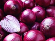 Phụ gia cải thiện đường ruột cho gà từ hành tây tím 